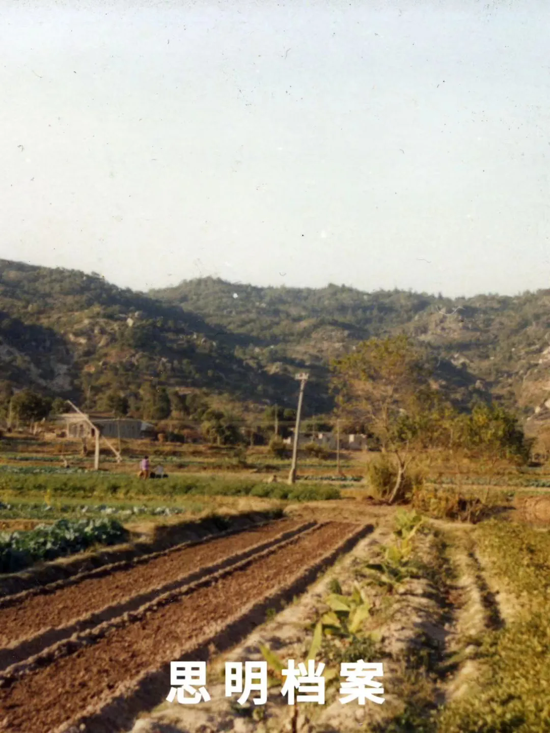 1735177032734932.png 1735177032734932.png