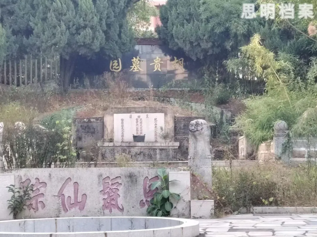 1735520242989596.png 1735520242989596.png