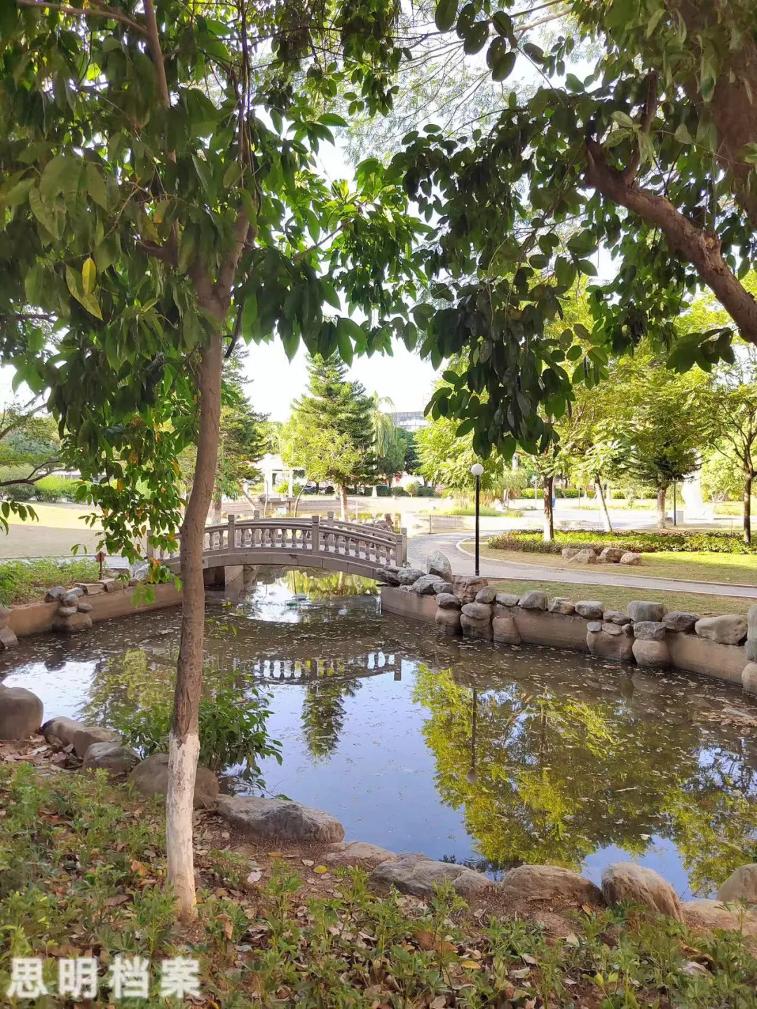 1735520365930798.png 1735520365930798.png