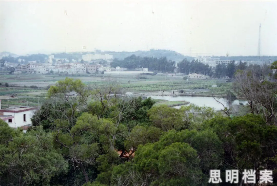 1735520654705505.png 1735520654705505.png